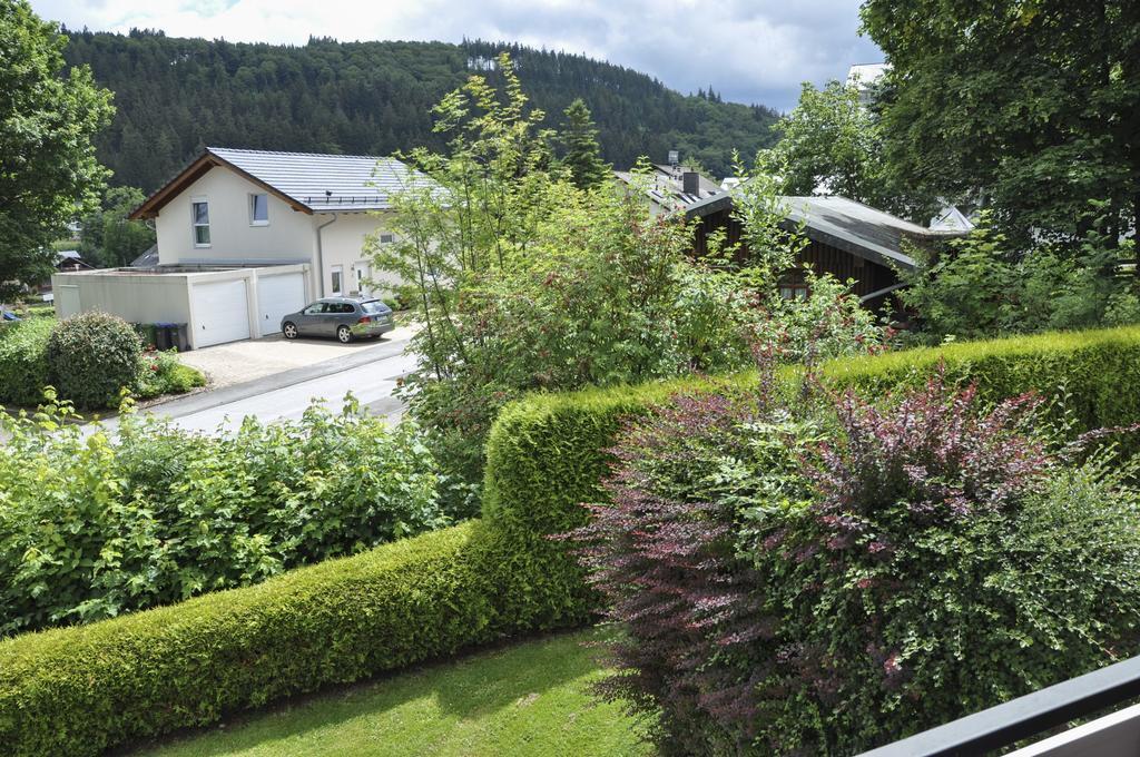 Fewo Jager Apartment Willingen  Luaran gambar
